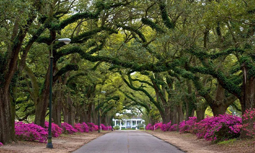 Spring Hill campus